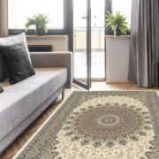 Agra SD-57090-6484 Room Lifestyle Machine-Made Area Rug detail image