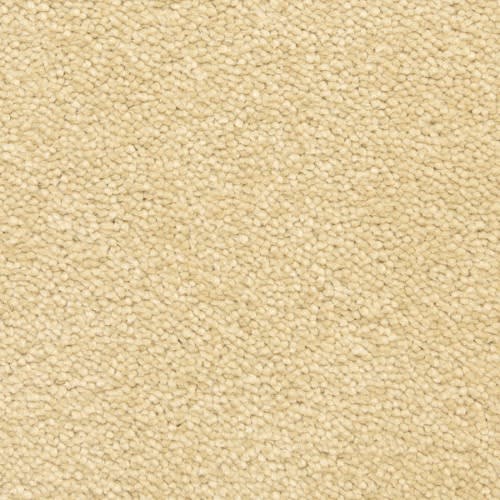 Bodega_20Bay_20Sandstone_500x500