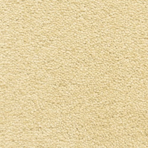Bodega_20Bay_20Sea_20Grass_500x500