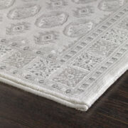 Ages-12146-100 Machine-Made Area Rug collection texture detail image