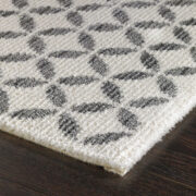 Diablo-2220-100 Machine-Made Area Rug collection texture detail image