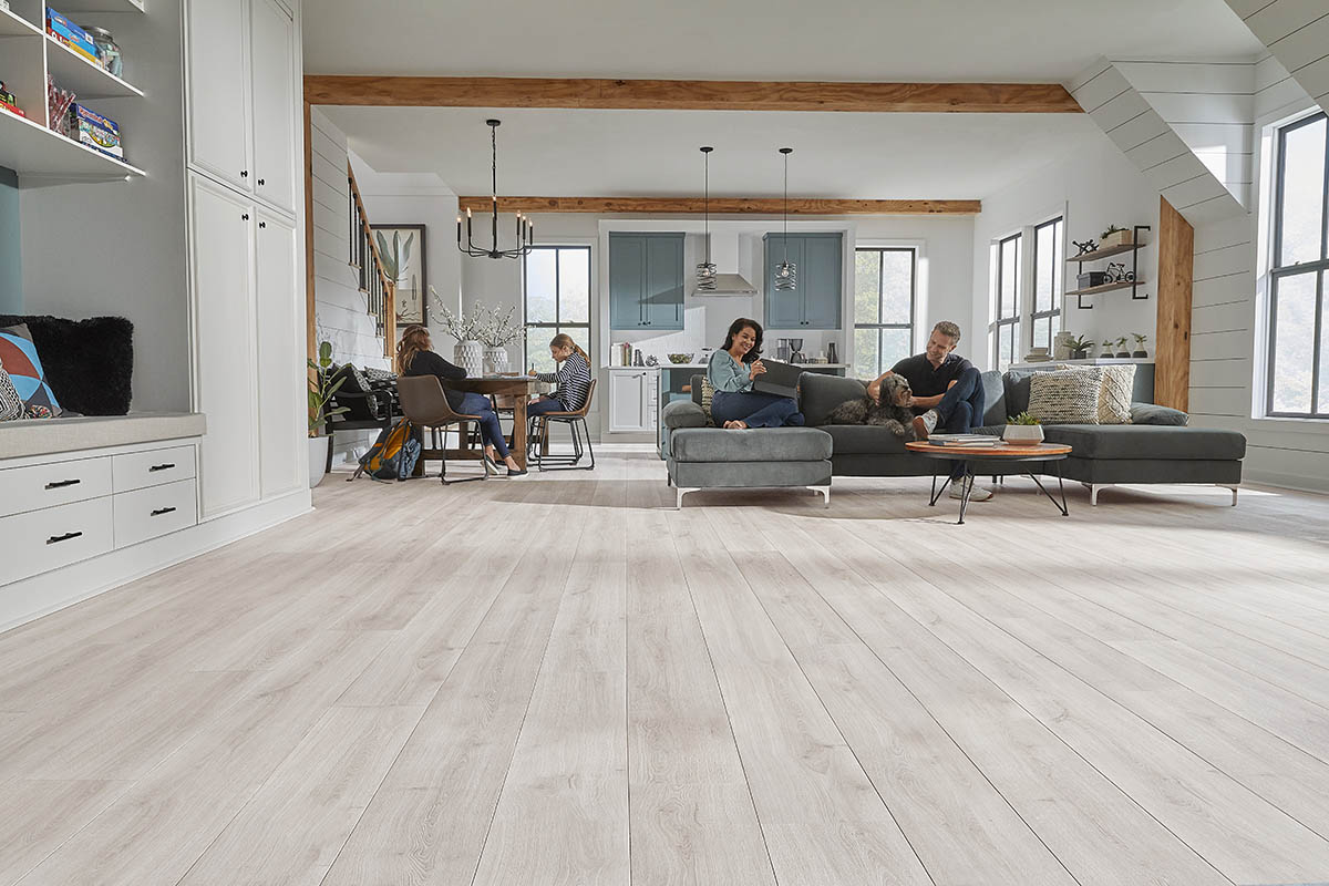 Open-plan living and kitchen space with laminate flooring