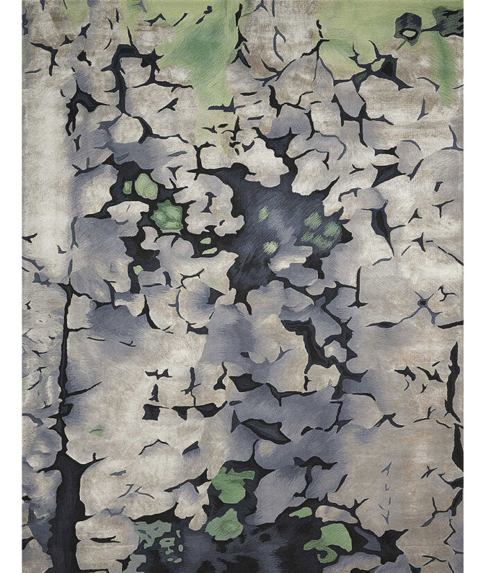 Prismatic-PRS03-CHARC Hand-Tufted Area Rug image
