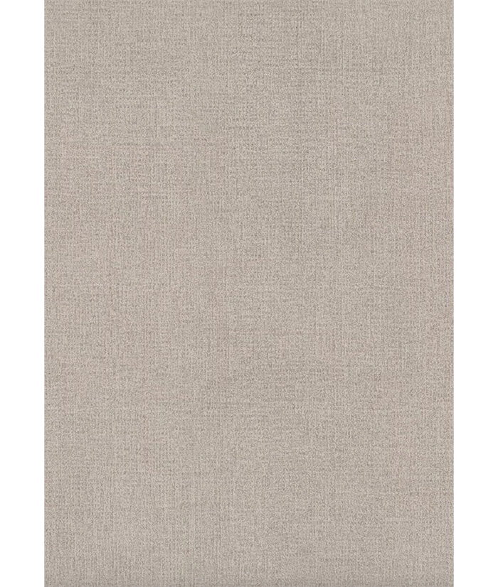 Rayland-SRCo-Grey Frost Hand-Tufted Area Rug image