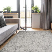Agra SD-57132-9646 Room Lifestyle Machine-Made Area Rug detail image