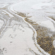 Polaris-83016-6121 Machine-Made Area Rug collection texture detail image