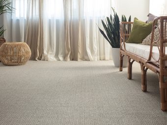 Carpet - Fetch - Briarwood Carpet - Fetch - Briarwood